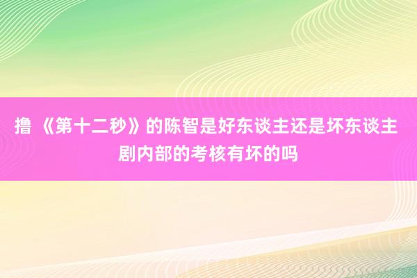 撸 《第十二秒》的陈智是好东谈主还是坏东谈主 剧内部的考核有坏的吗